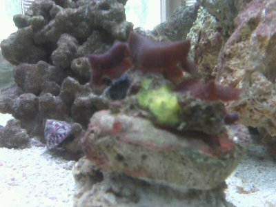 IMG00204.jpg