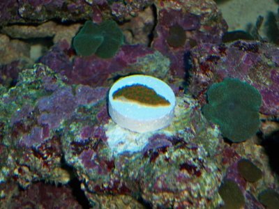 dan and jules pics 050.jpg