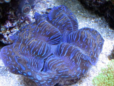 IMG_6053.jpg
