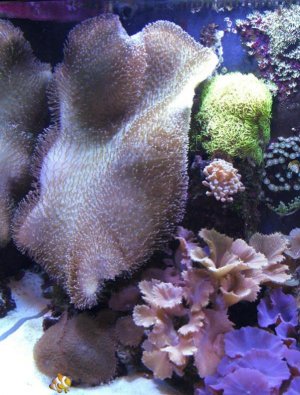 IMG_1070.jpg
