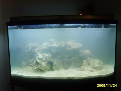 new46galsalttankand10galnano 001.jpg