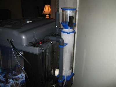 IMG_0137 (Medium).JPG