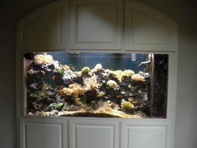 aquarium 144 009.jpg