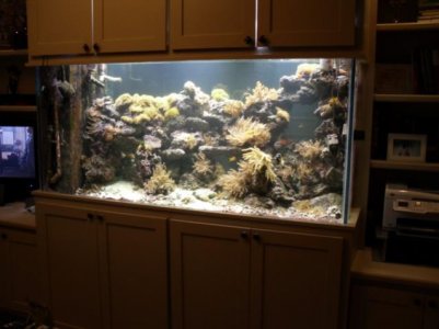 aquarium 144 031.jpg