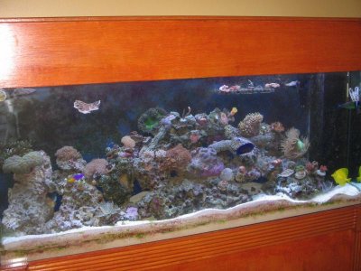 IMG_3036.jpg IMG_3036.jpg