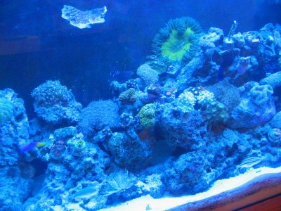 IMG_3041.jpg IMG_3041.jpg