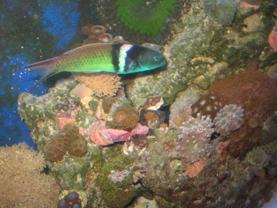 IMG_3031.jpg IMG_3031.jpg