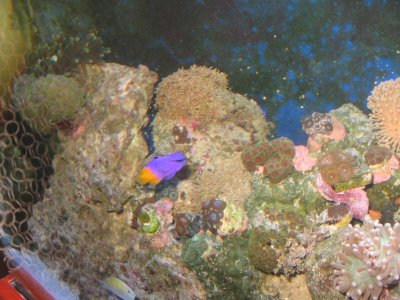 IMG_3032.jpg IMG_3032.jpg