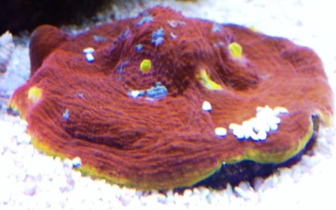 In My tank 6-25-11.jpg