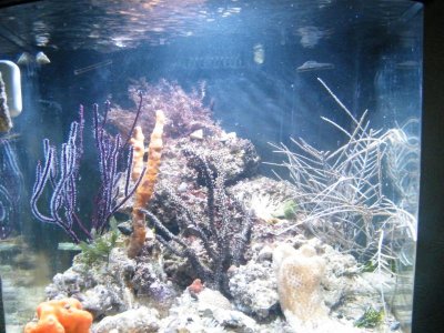 DSCF2152.jpg