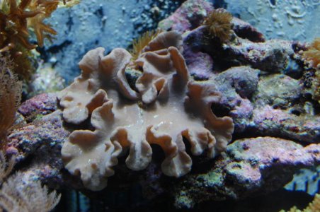 DSC_0062.jpg