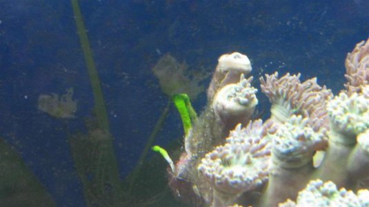 IMG_5933 (Large).jpg