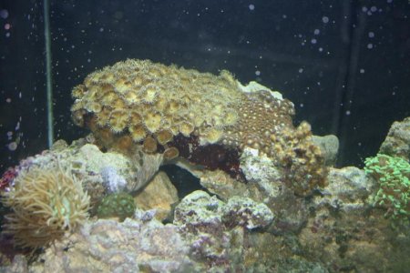 IMG_0004.jpg