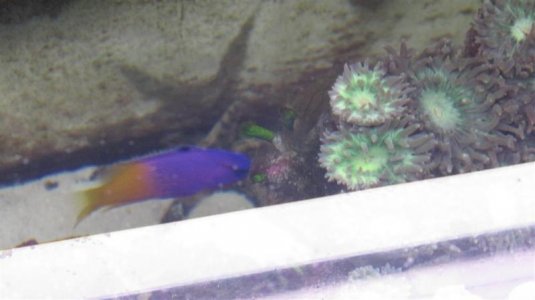 IMG_5935 (Large).jpg