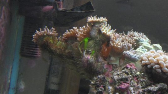 IMG_5936 (Large).jpg