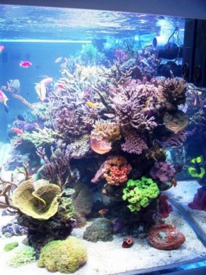 100_2689.jpg