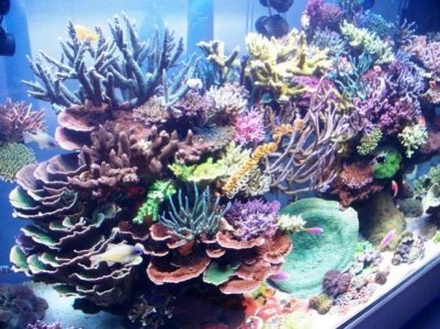 100_2705.jpg