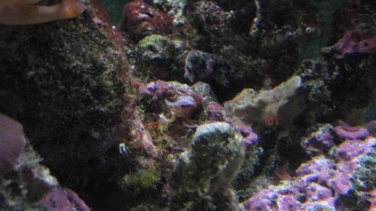 IMG_5940 (Large).jpg