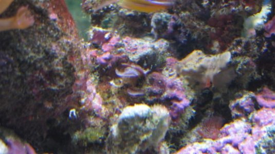 IMG_5946 (Large).jpg