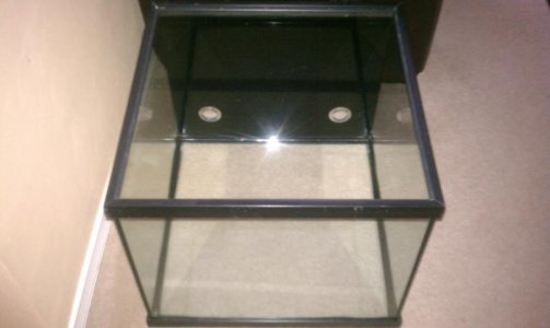 IMAG0246.jpg