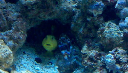 2011-04-18_17-35-22_967.jpg