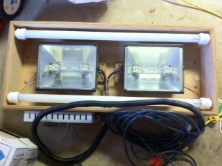 lights.jpg