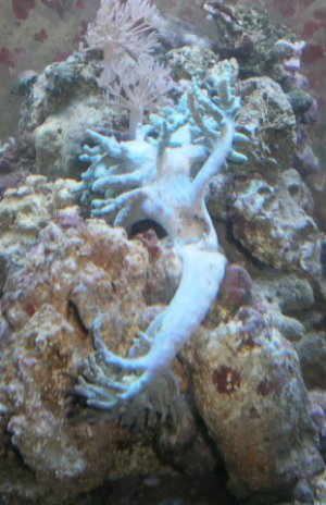 sick finger leather.jpg