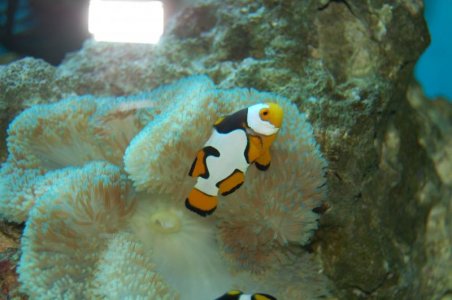 camera 7-6-2011 183.jpg