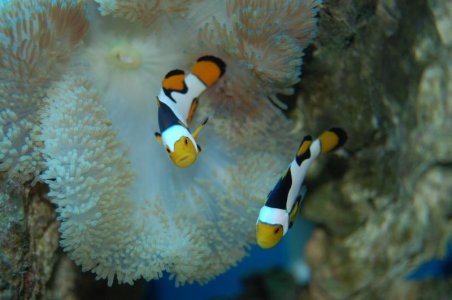 camera 7-6-2011 181.jpg