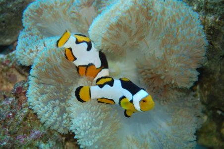 camera 7-6-2011 184.jpg