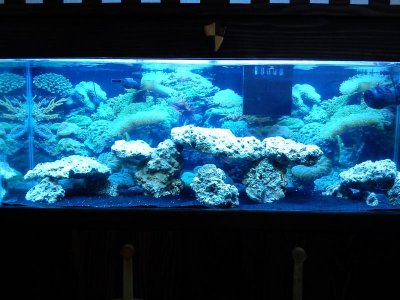 IMG_20110618_161028.jpg
