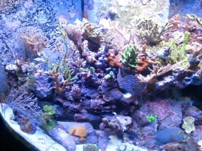 2011-05-23 21.37.13.jpg