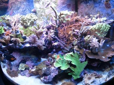 2011-05-23 21.37.34.jpg