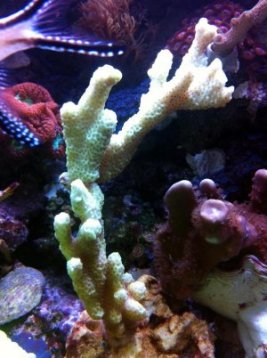 IMG_4558.jpg