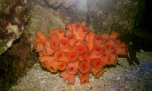 IMAG0111.jpg