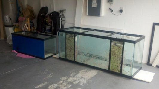 12014d1309061438-my-new-tank-tanks.jpg