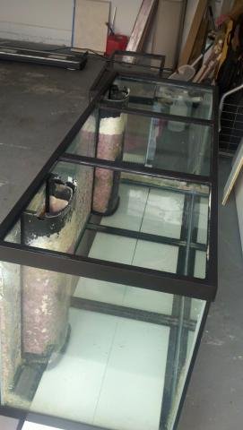12015d1309061438-my-new-tank-tanks-1.jpg