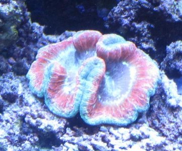 IMG_0888.jpg