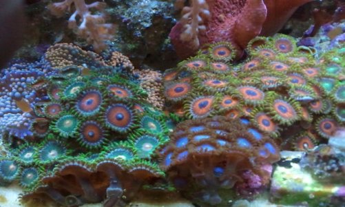 2011-06-30 20.06.05.jpg