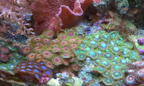 2011-06-30 20.06.36.jpg