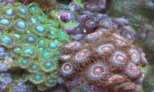 2011-06-30 20.06.47.jpg