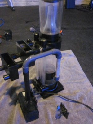 IMG_0367_3_1.jpg