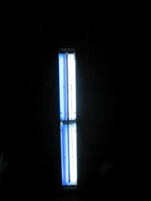 IMG_0372_3_1.JPG