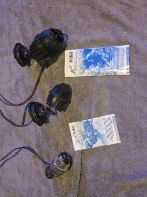 IMG_0380_4_1.jpg