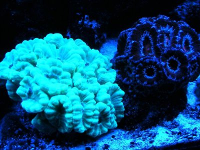 DSCF4323.jpg