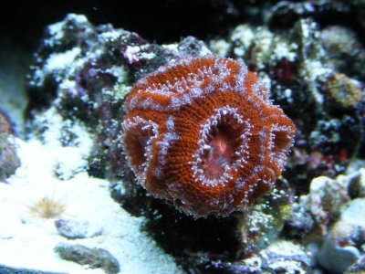 DSCF4232.jpg
