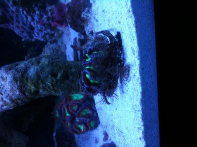 Photo Aug 04, 12 39 43 PM.jpg