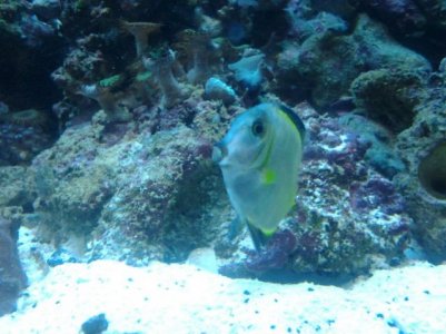2011-07-11 19.11.05.jpg