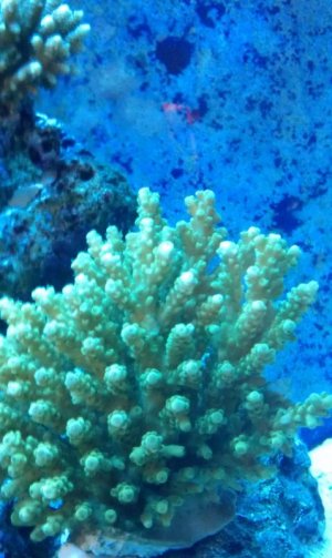 IMAG0145.jpg