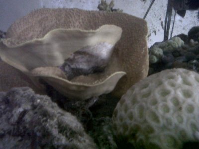 IMG00090-20110712-0634.jpg